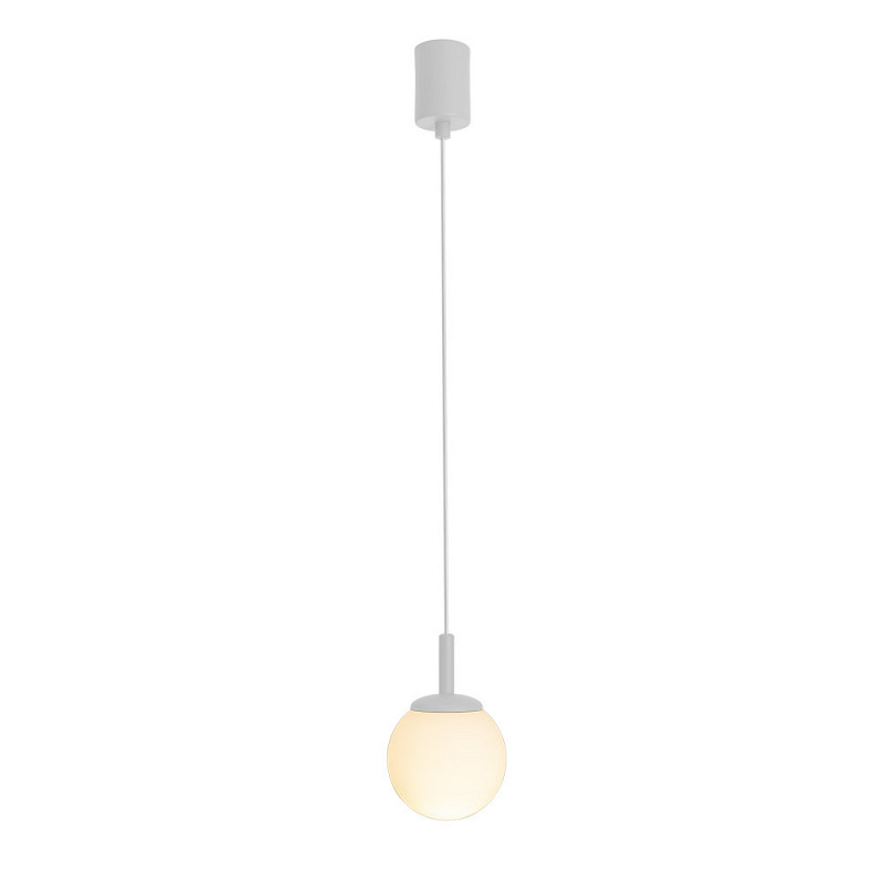 Colgante Techo Bl Mate 1xg9 880823-11 - Blumenau