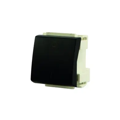 Interruptor Bipolar 36mm Negro 16A-250V - C19947-1 Elektron