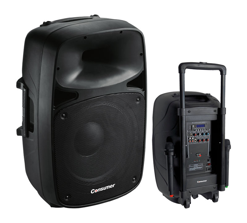 Speaker BOX-CONSUMER-15"SPEAKER Box Bluetooth 15" - Consumer