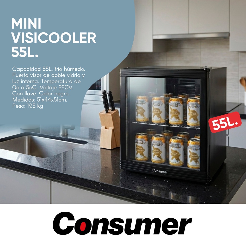 Mini Visicooler 55 L Negro - Consumer