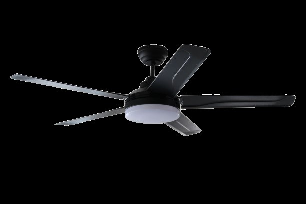 Ventilador De Techo De 5 Aspas 24W Negro Argo