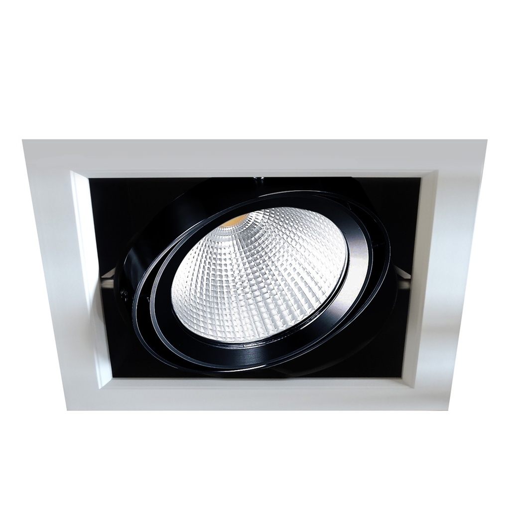 Artefacto LED Cardanico De Embutir 1X20W Luz Calida Argo