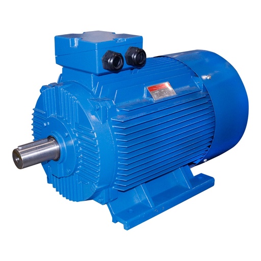 [FM20554] Motor Eléctrico Valco CDF 100HP 4P 380/660V IP-55