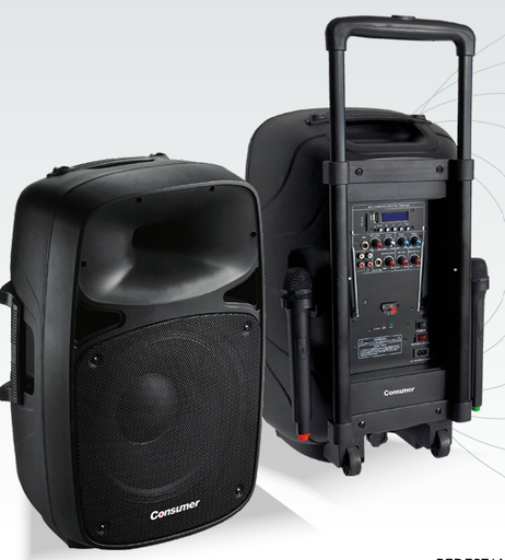 [TA39429] Speaker BOX-CONSUMER-12" 1000 W - Consumer